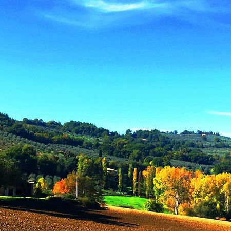 Appartamenti Verde Collina Umbra Bevagna Zewnętrze zdjęcie