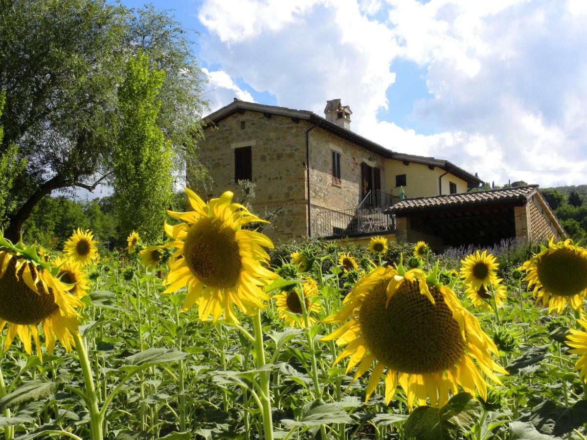 Appartamenti Verde Collina Umbra Bevagna Zewnętrze zdjęcie