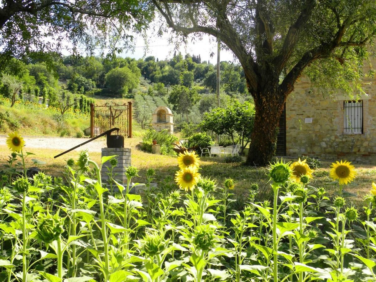 Appartamenti Verde Collina Umbra Bevagna Zewnętrze zdjęcie