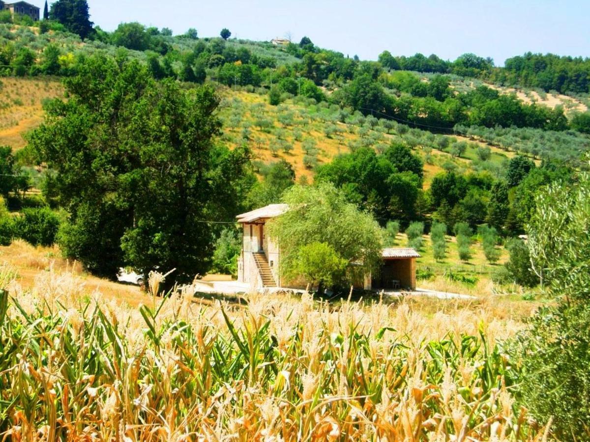 Appartamenti Verde Collina Umbra Bevagna Zewnętrze zdjęcie