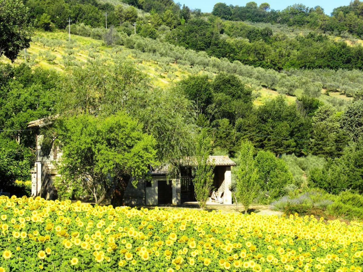 Appartamenti Verde Collina Umbra Bevagna Zewnętrze zdjęcie