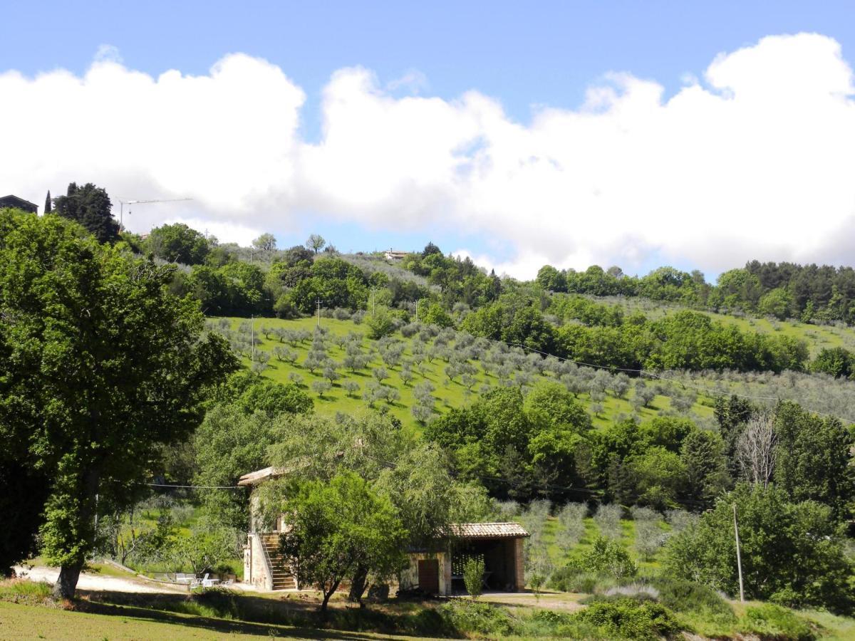 Appartamenti Verde Collina Umbra Bevagna Zewnętrze zdjęcie